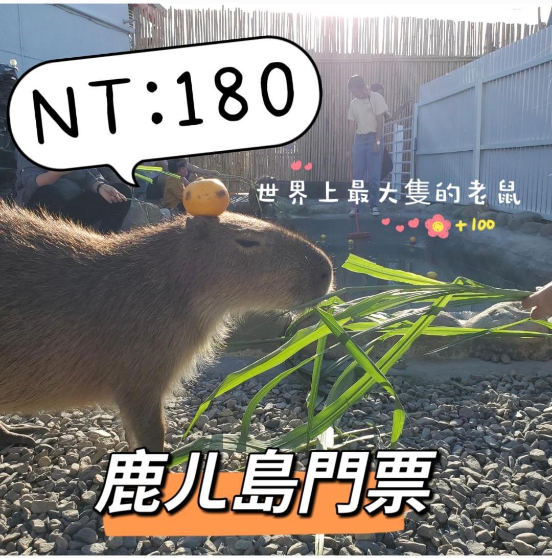 隨緣民宿 Suiian Inn Hengchun Old Town Zewnętrze zdjęcie